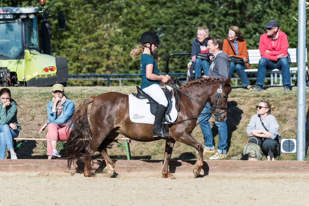 Bild 42 - Pony Akademie Turnier